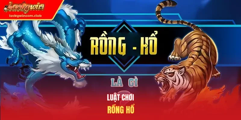 Luật chơi rồng hổ